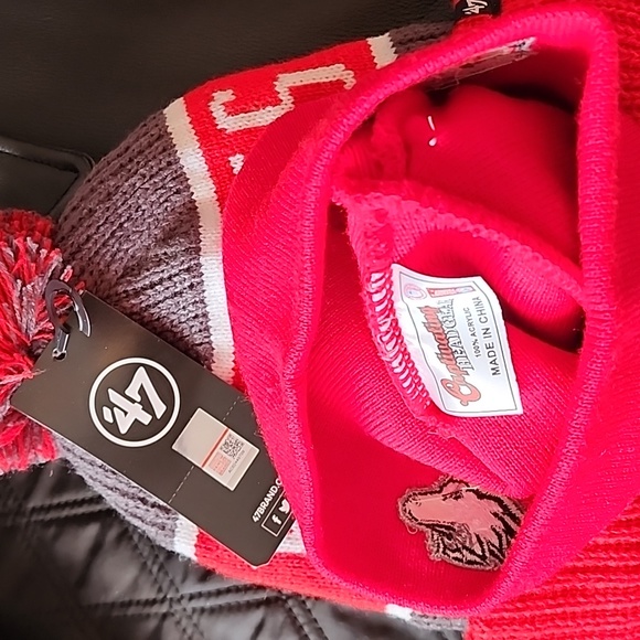 NIU Huskies Winter Hats NORTHERN ILLINOIS UNIVERSITY Men's Women's Kids - Picture 6 of 6